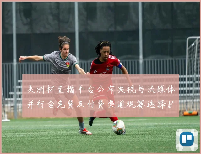 美洲杯直播平台公布央视与流媒体并行含免费及付费渠道观赛选择扩大