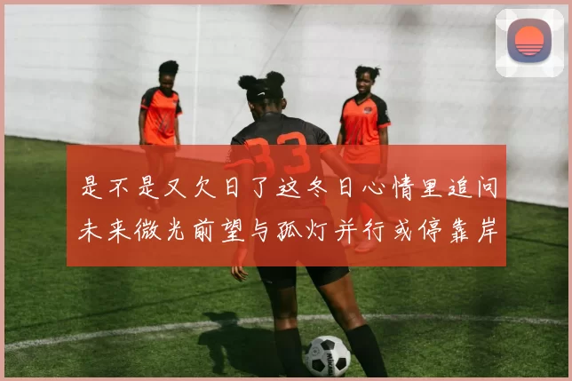 是不是又欠日了这冬日心情里追问未来微光前望与孤灯并行或停靠岸