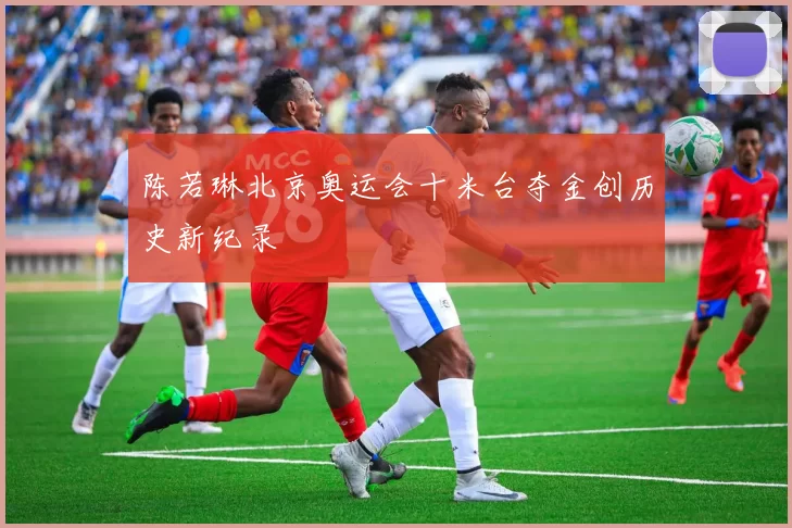 陈若琳北京奥运会十米台夺金创历史新纪录