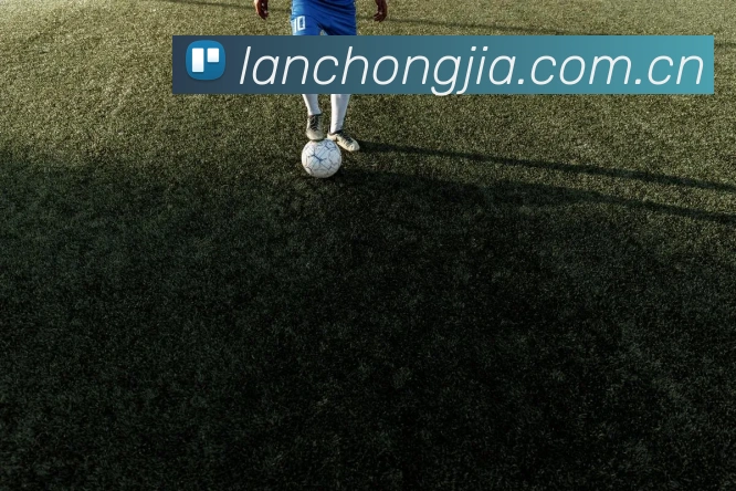 App界面
